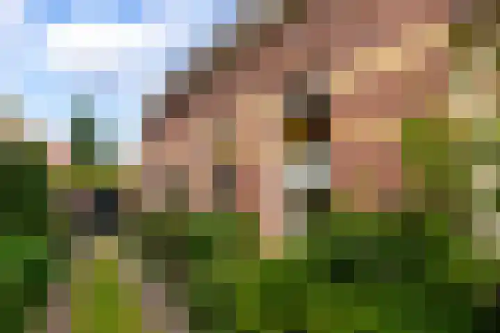 Parkstraat 31 Velp thumbnail 6