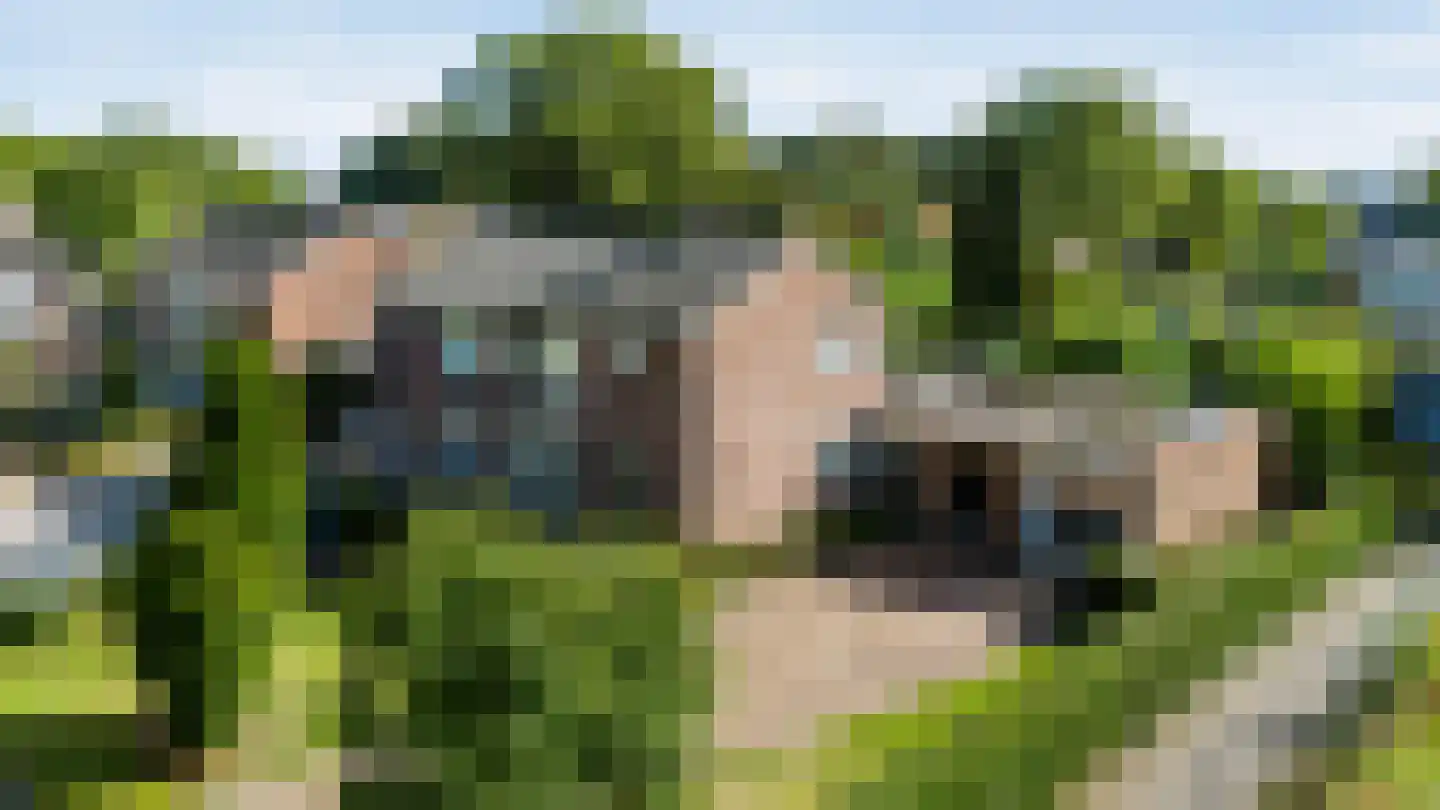 Parkstraat 32 Emmen thumbnail 52