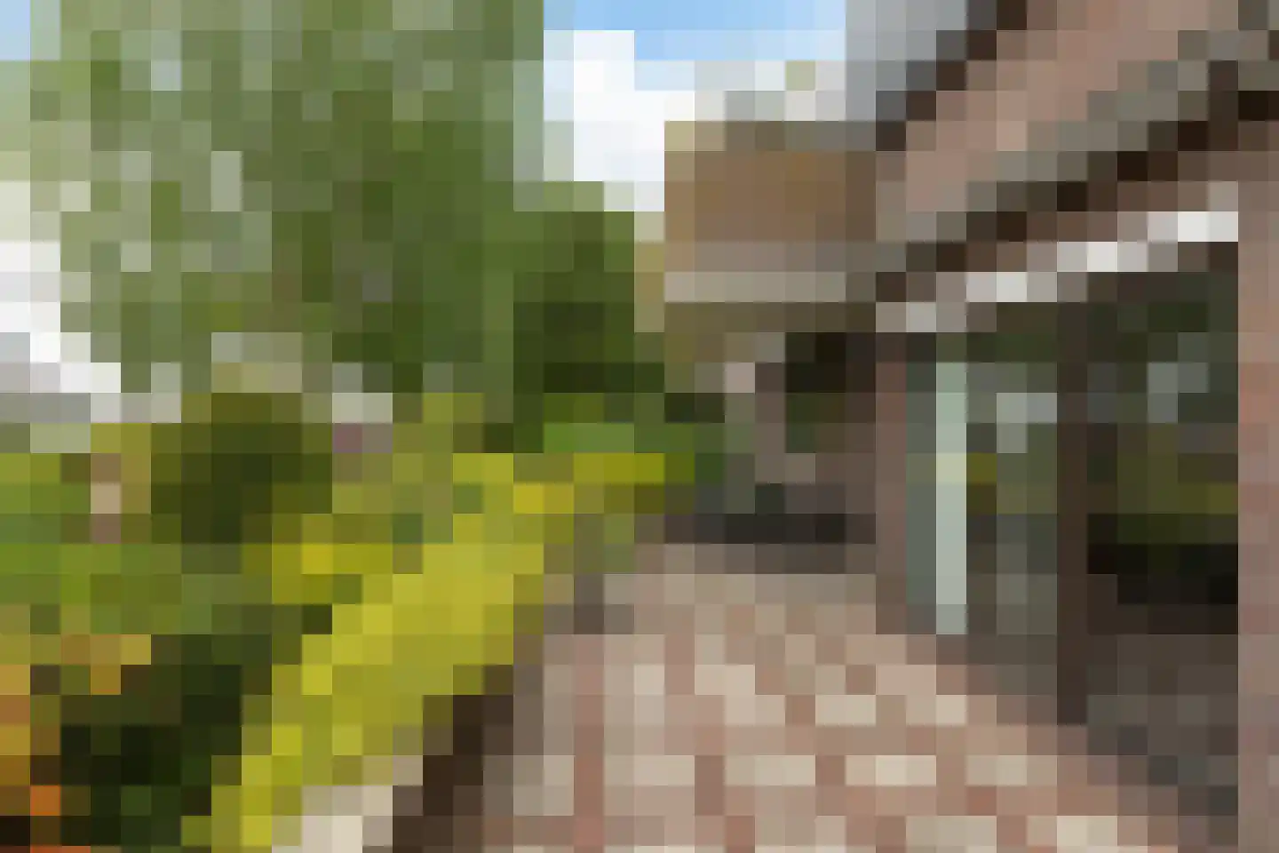 Parkstraat 33 Baarn thumbnail 22