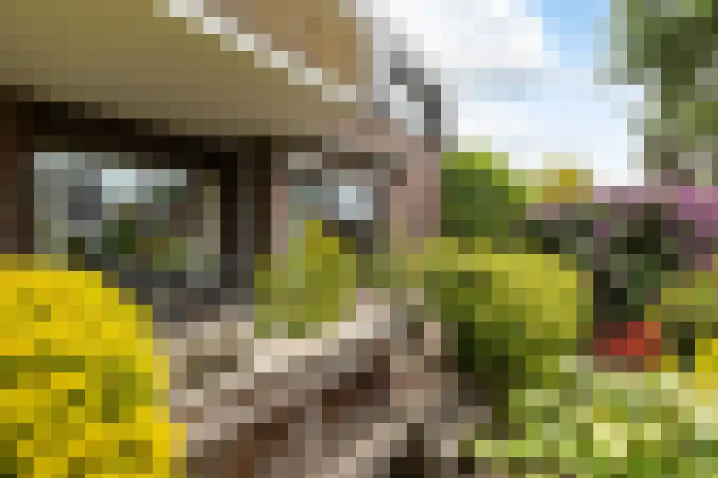Parkstraat 33 Baarn thumbnail 24