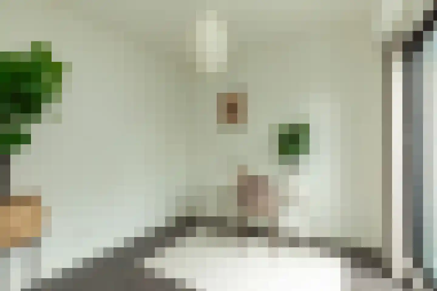 Parkstraat 33 Baarn thumbnail 7