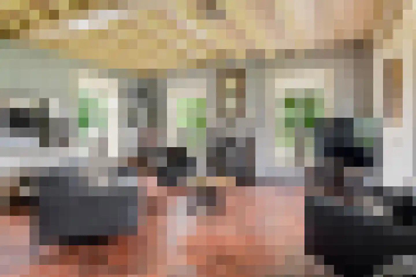 Parkstraat 34 Maurik thumbnail 26