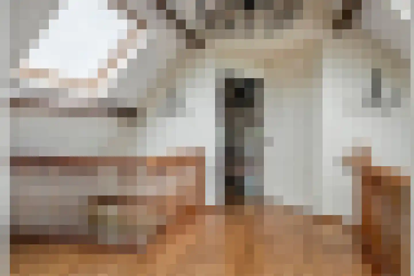 Parkstraat 34 Maurik thumbnail 36
