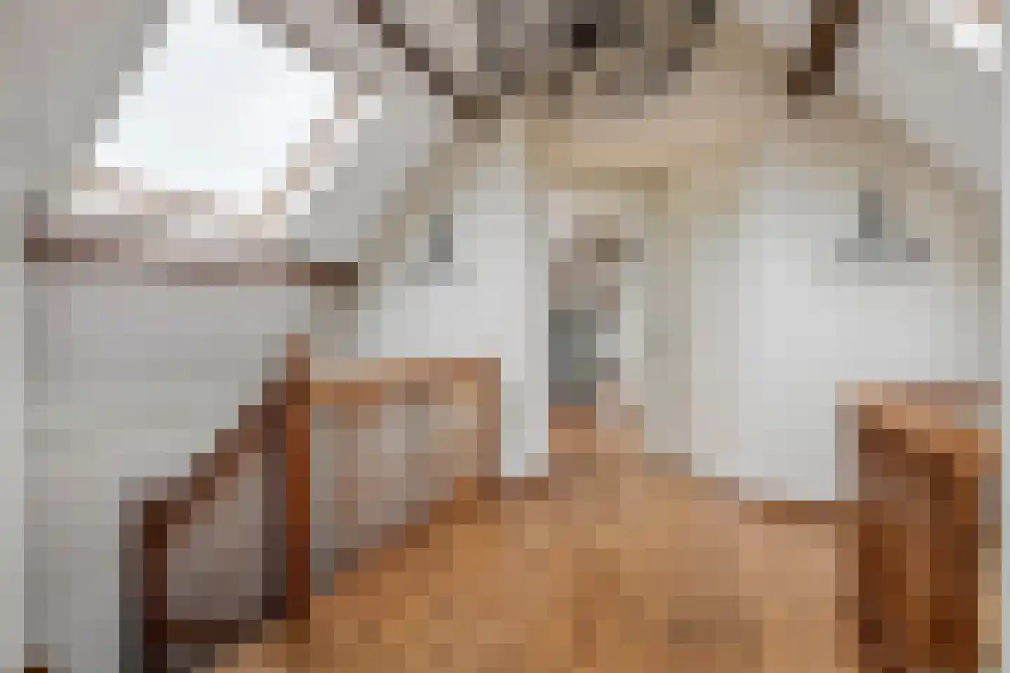 Parkstraat 34 Maurik thumbnail 37