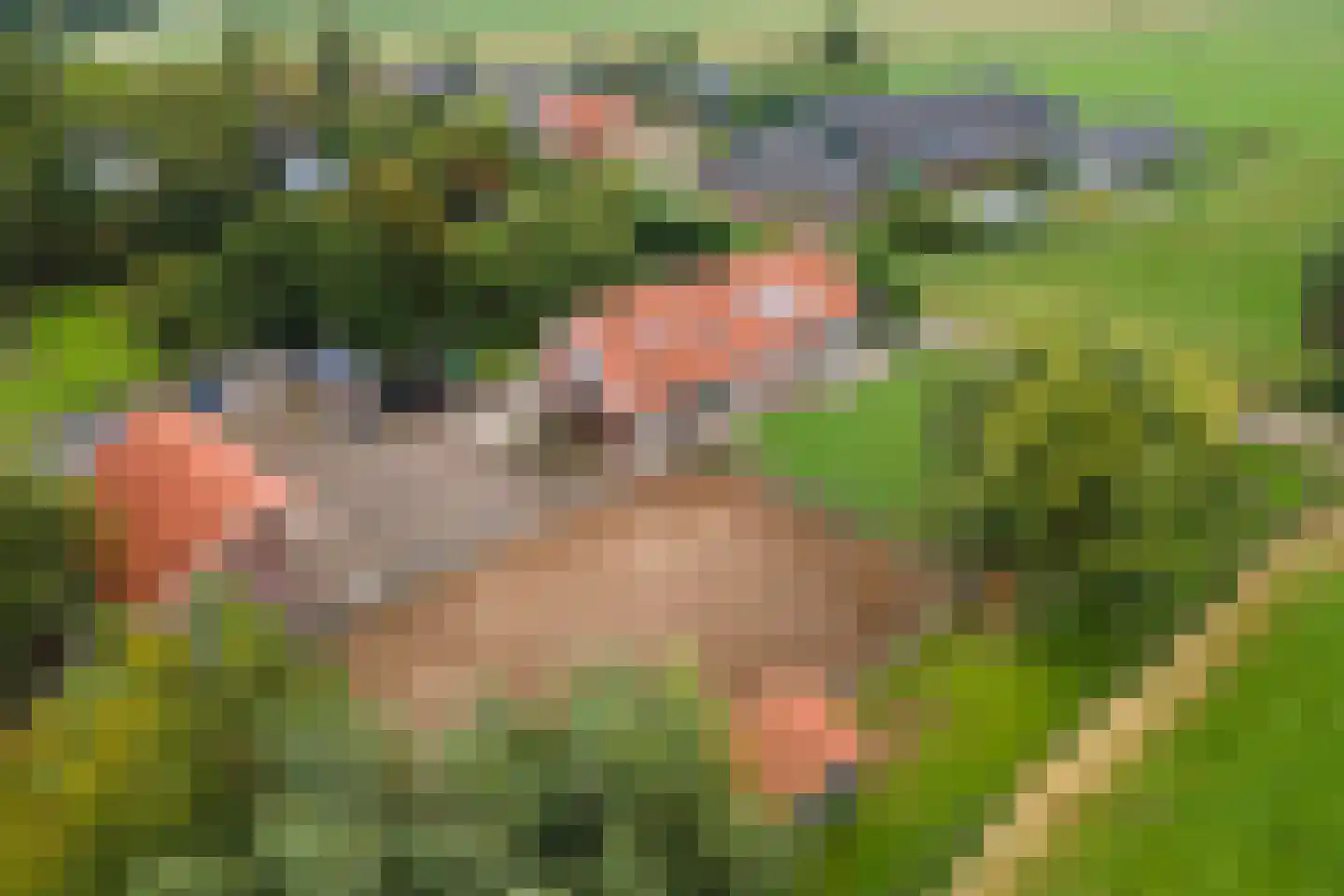Parkstraat 34 Maurik thumbnail 4