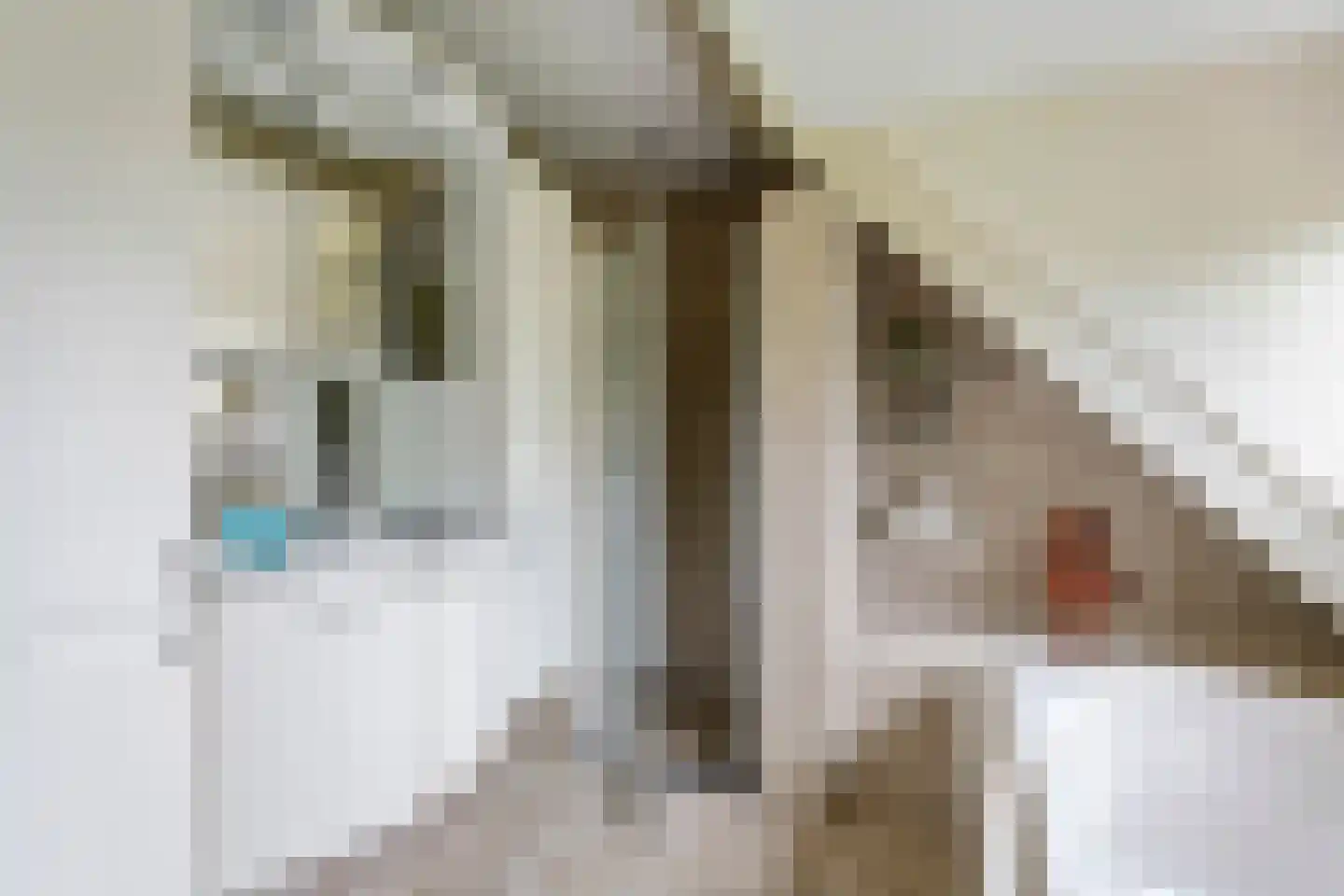 Parkstraat 34 Maurik thumbnail 46