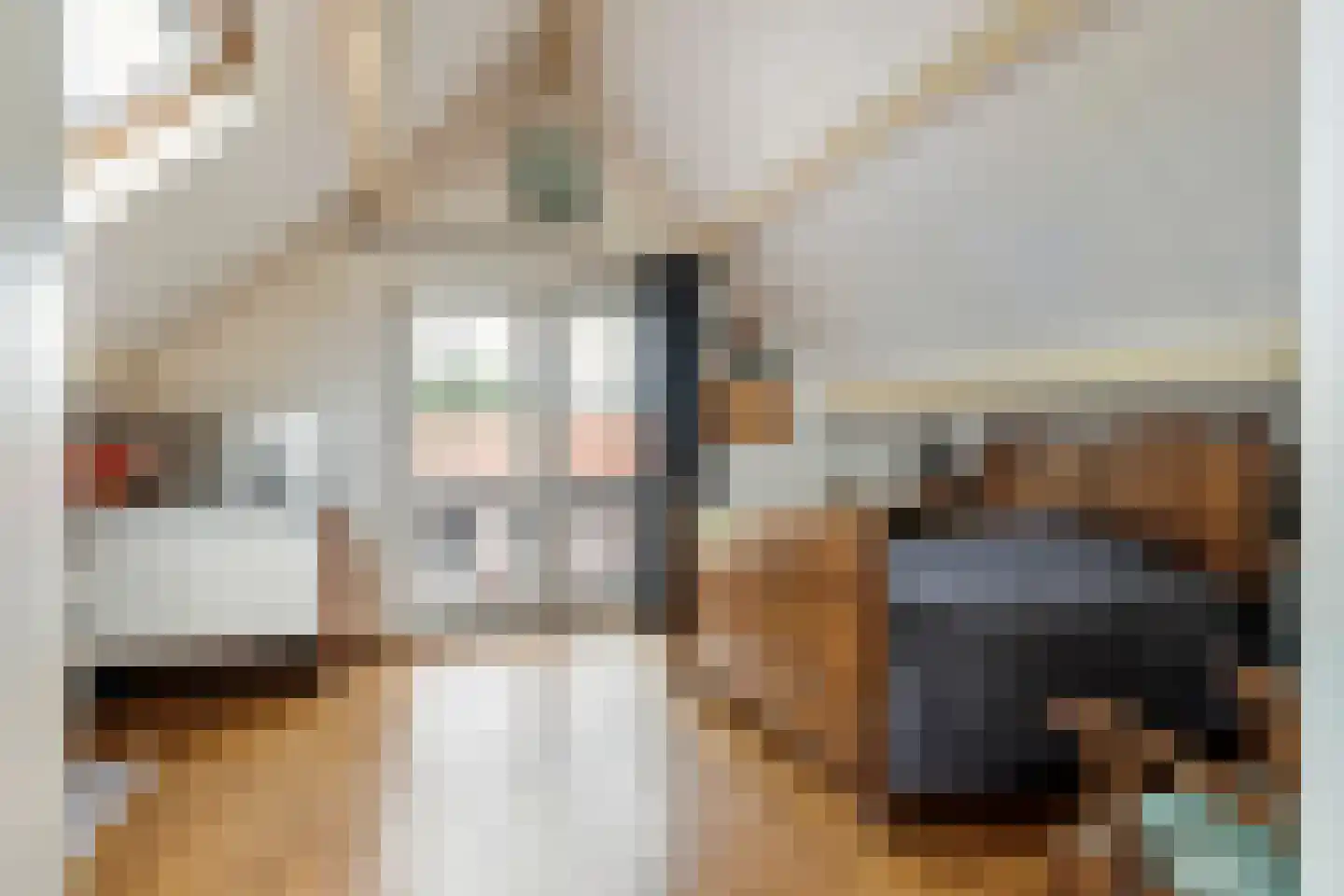 Parkstraat 34 Maurik thumbnail 49
