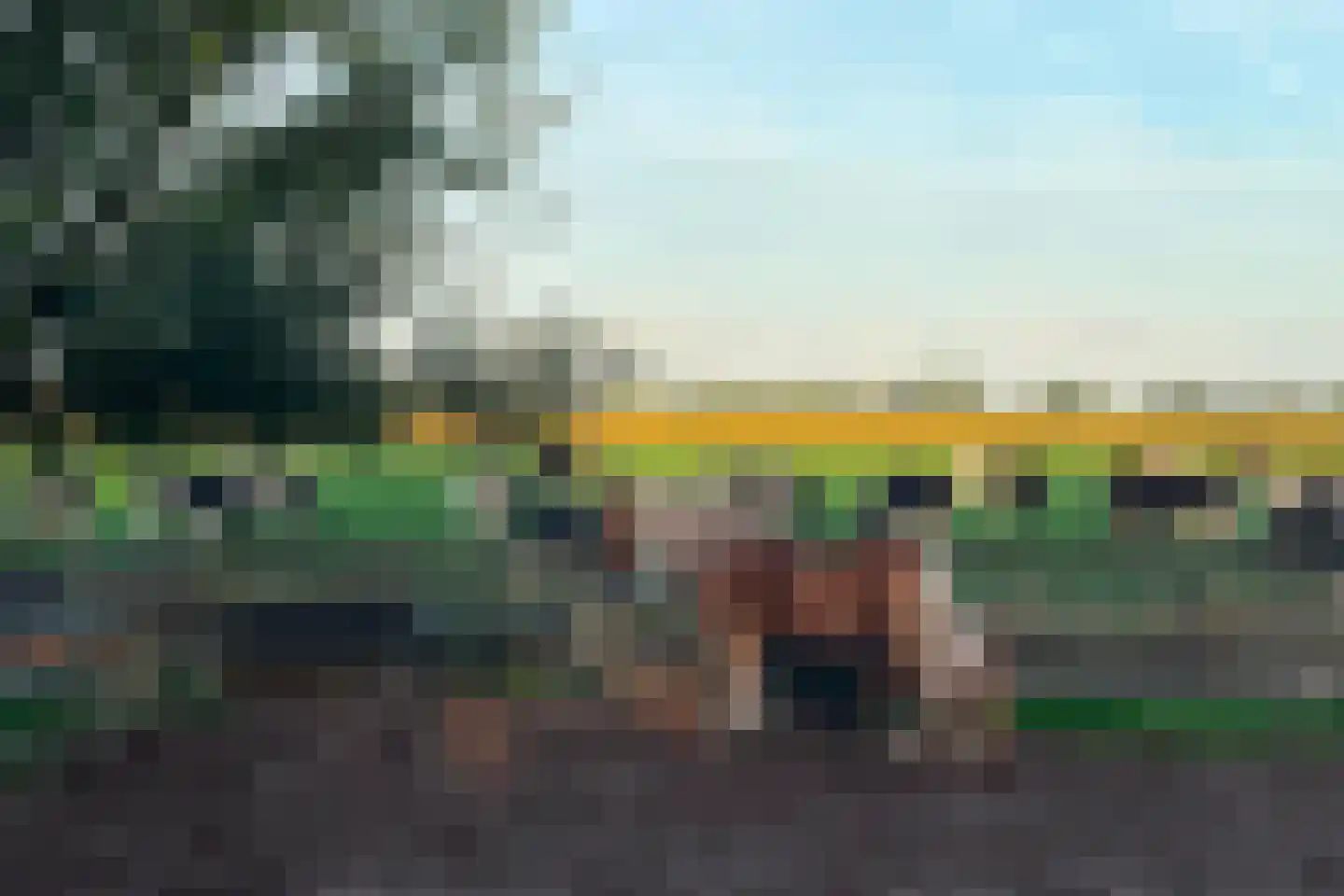 Parkstraat 34 Maurik thumbnail 58