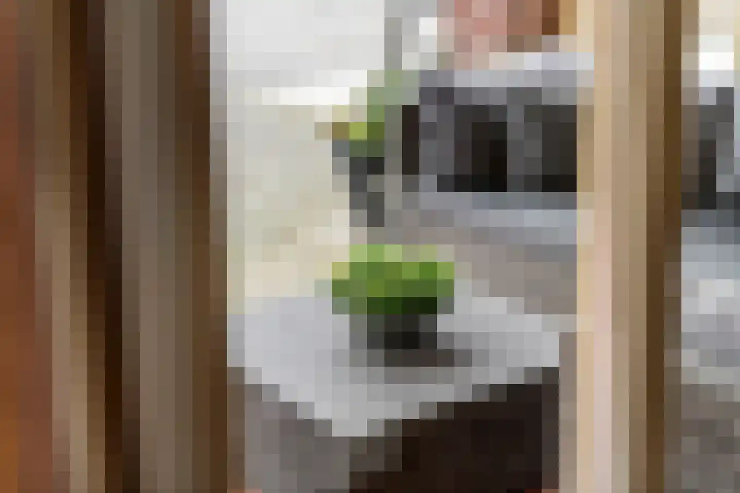 Parkstraat 34 Maurik thumbnail 62