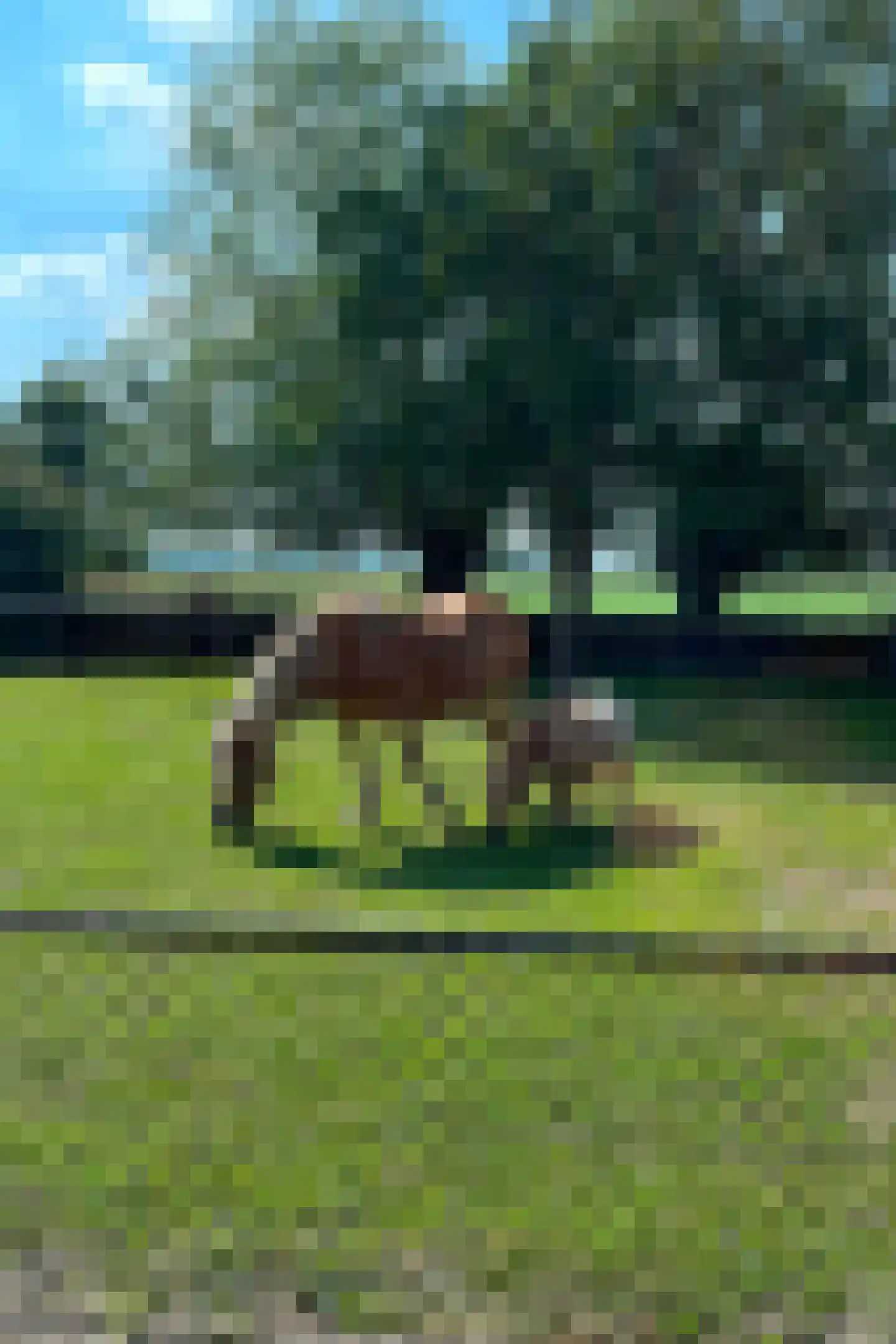 Parkstraat 34 Maurik thumbnail 69