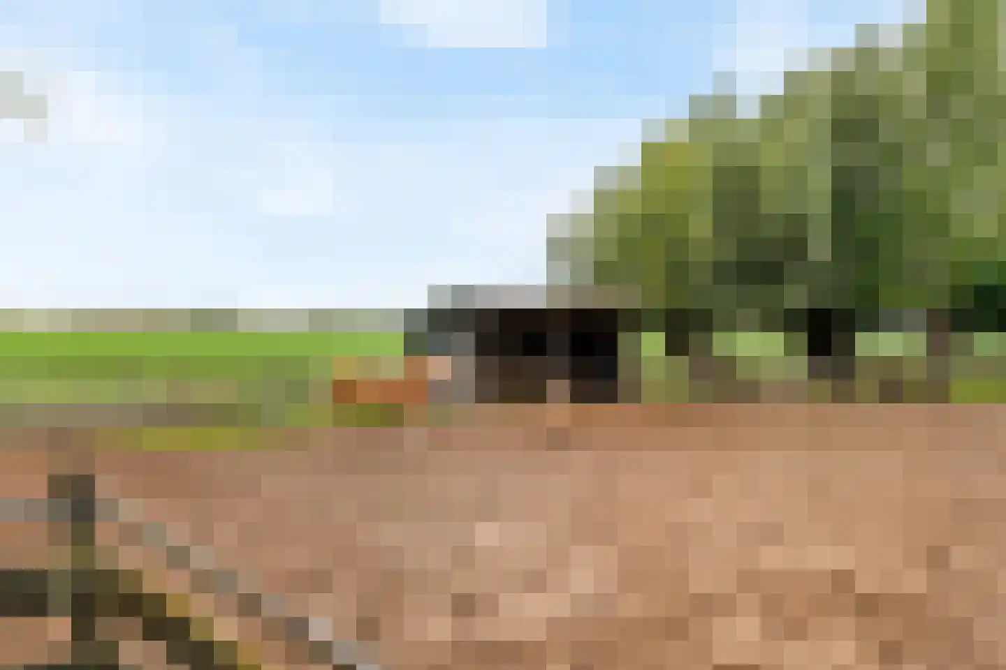 Parkstraat 34 Maurik thumbnail 77
