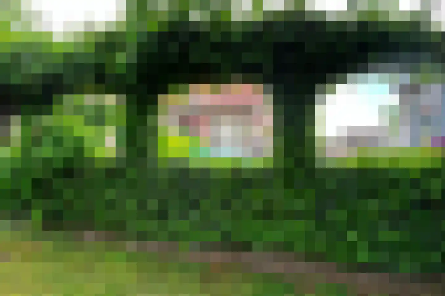 Parkstraat 34 Maurik thumbnail 83