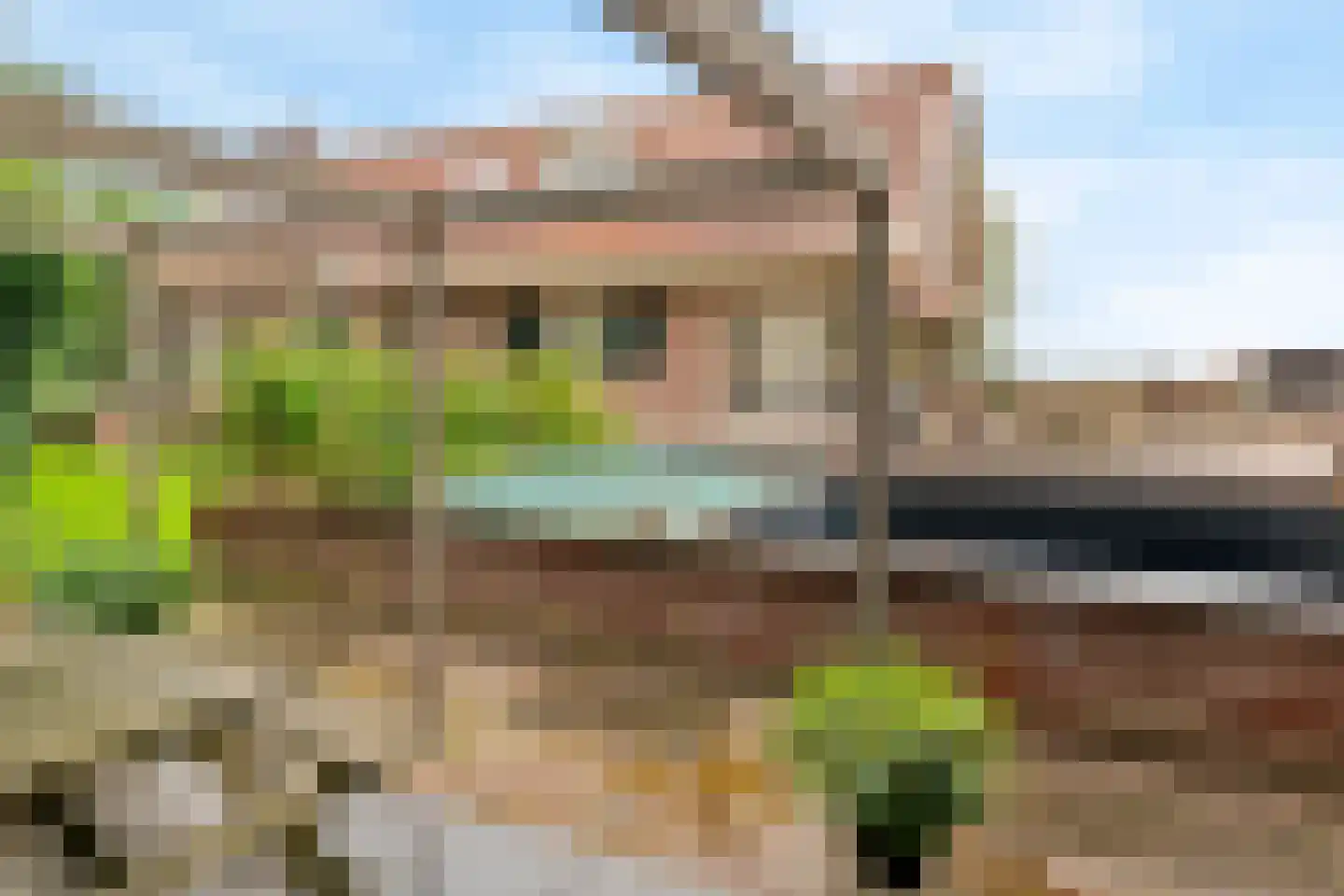 Parkstraat 34 Maurik thumbnail 84