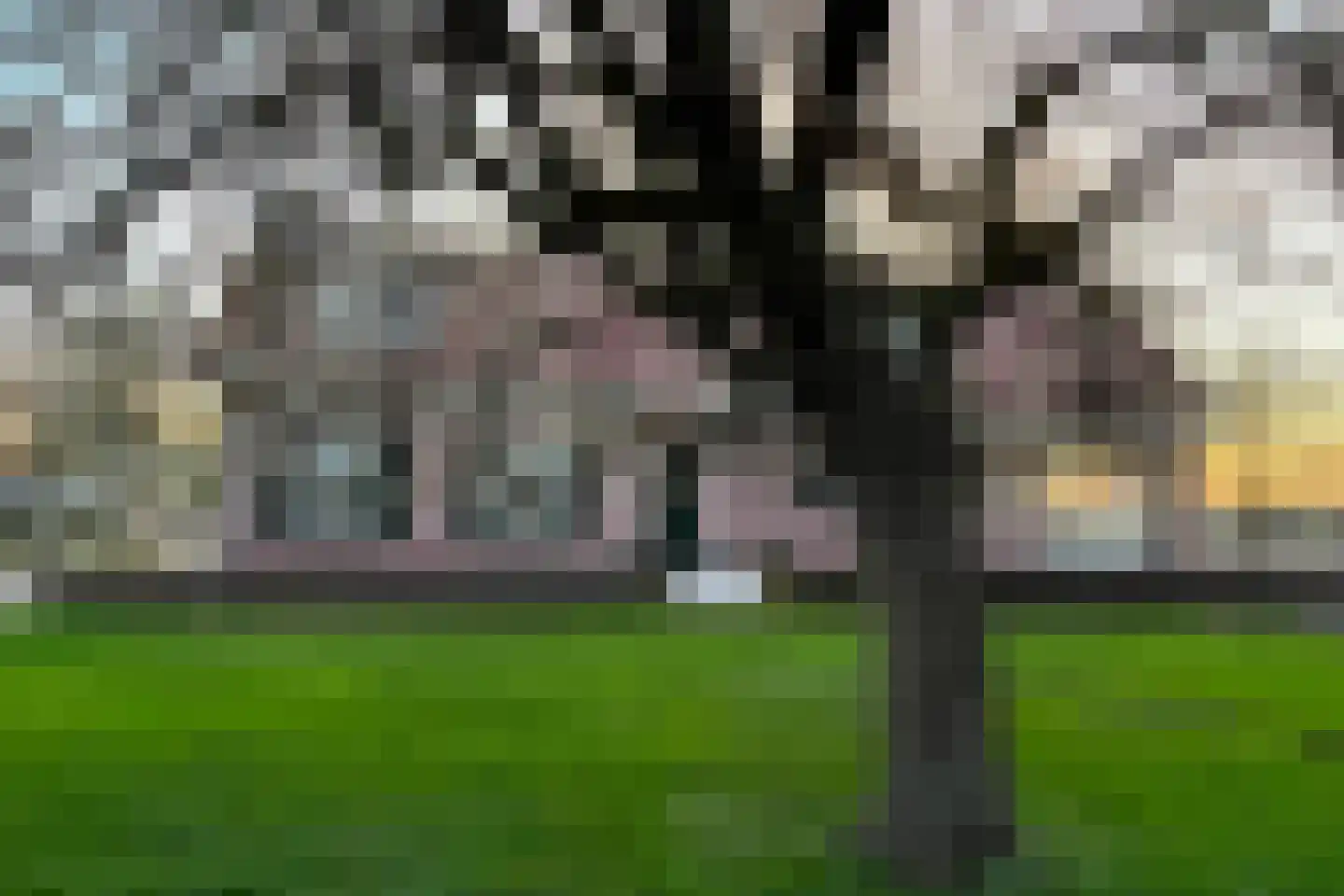 Parkstraat 34 Maurik thumbnail 87