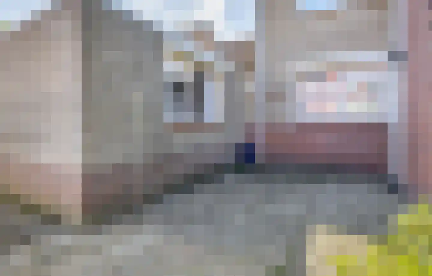 Parkstraat 38 Lemmer thumbnail 24