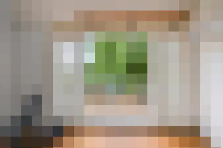 Parkstraat 38 Zaandam thumbnail 37