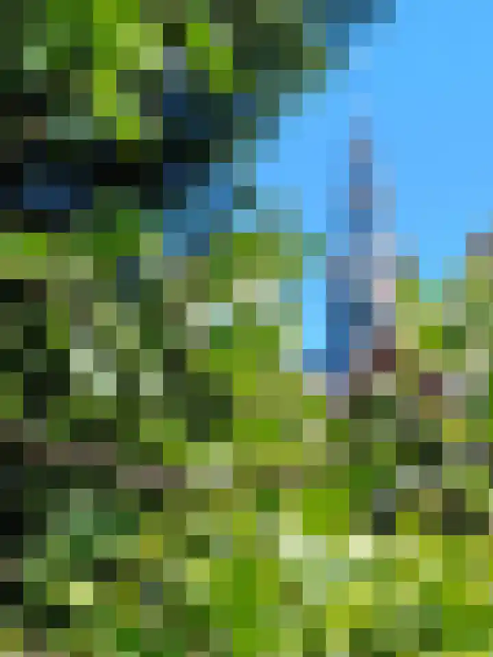 Parkstraat 38 Zaandam thumbnail 51