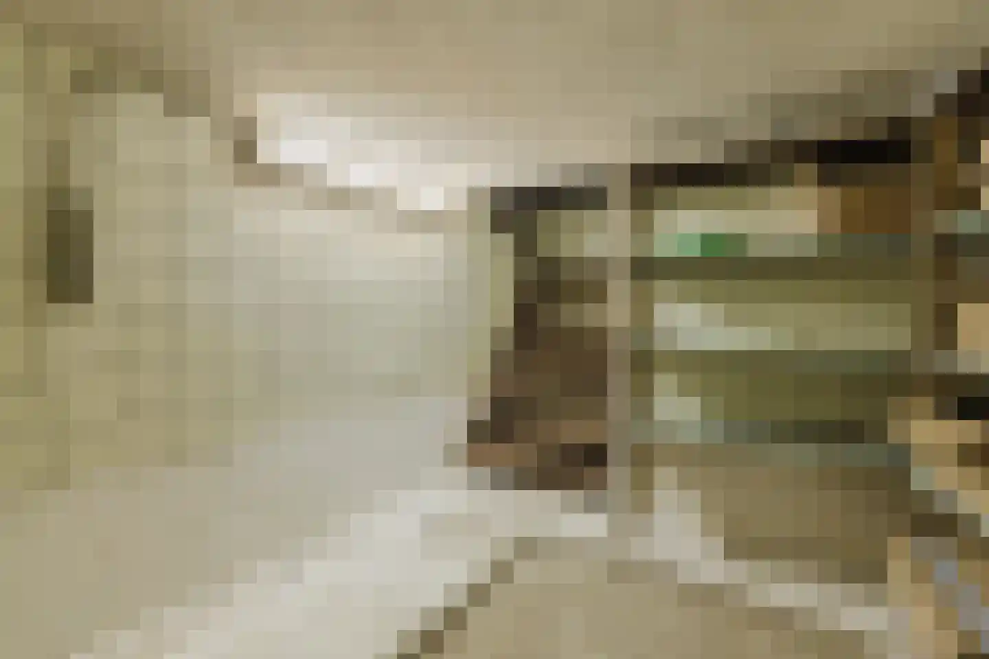 Parkstraat 45 St. Willebrord thumbnail 31