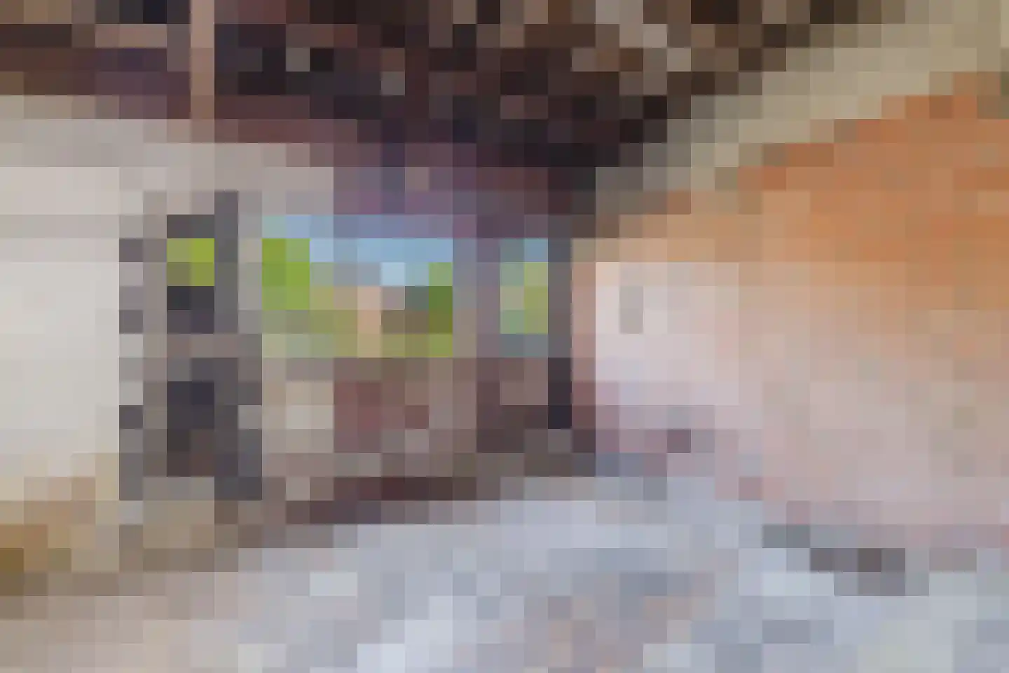 Parkstraat 45 St. Willebrord thumbnail 39