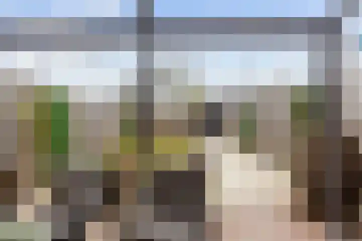 Parkstraat 47 B Sappemeer thumbnail 10