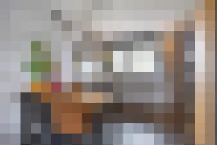 Parkstraat 47 B Sappemeer thumbnail 19