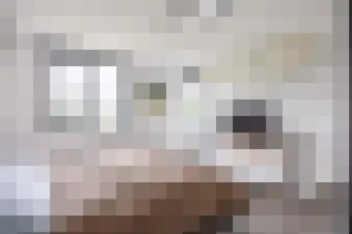 Parkstraat 47 B Sappemeer thumbnail 26