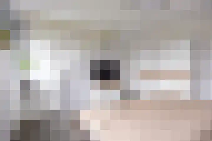 Parkstraat 47 B Sappemeer thumbnail 27