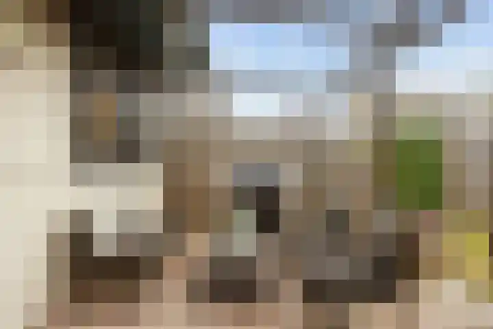Parkstraat 47 B Sappemeer thumbnail 9