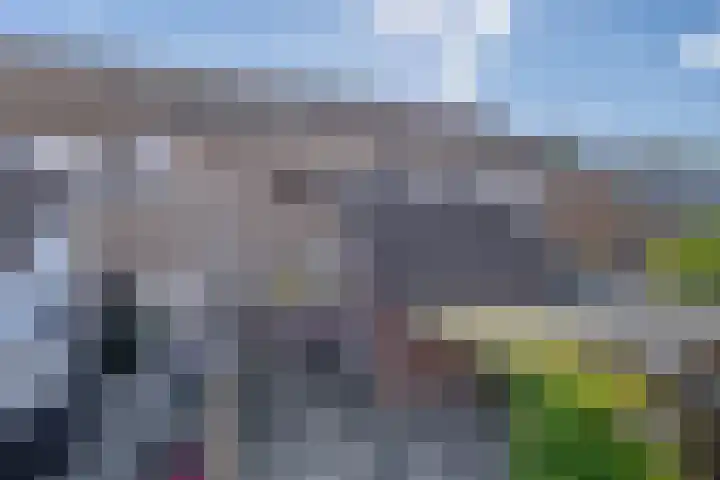 Parkstraat 48 Lemmer foto 2