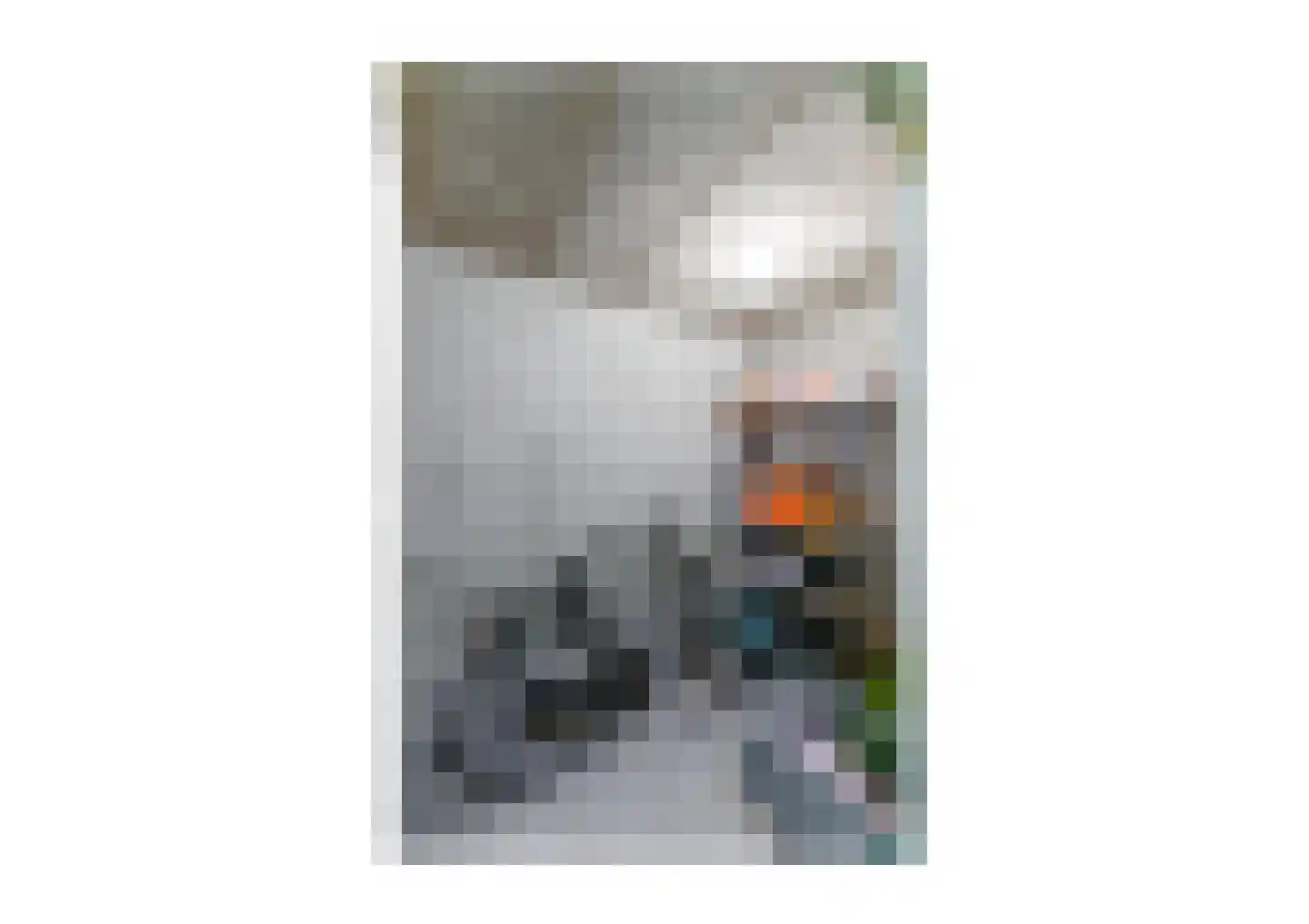Parkstraat 49 Venlo thumbnail 18