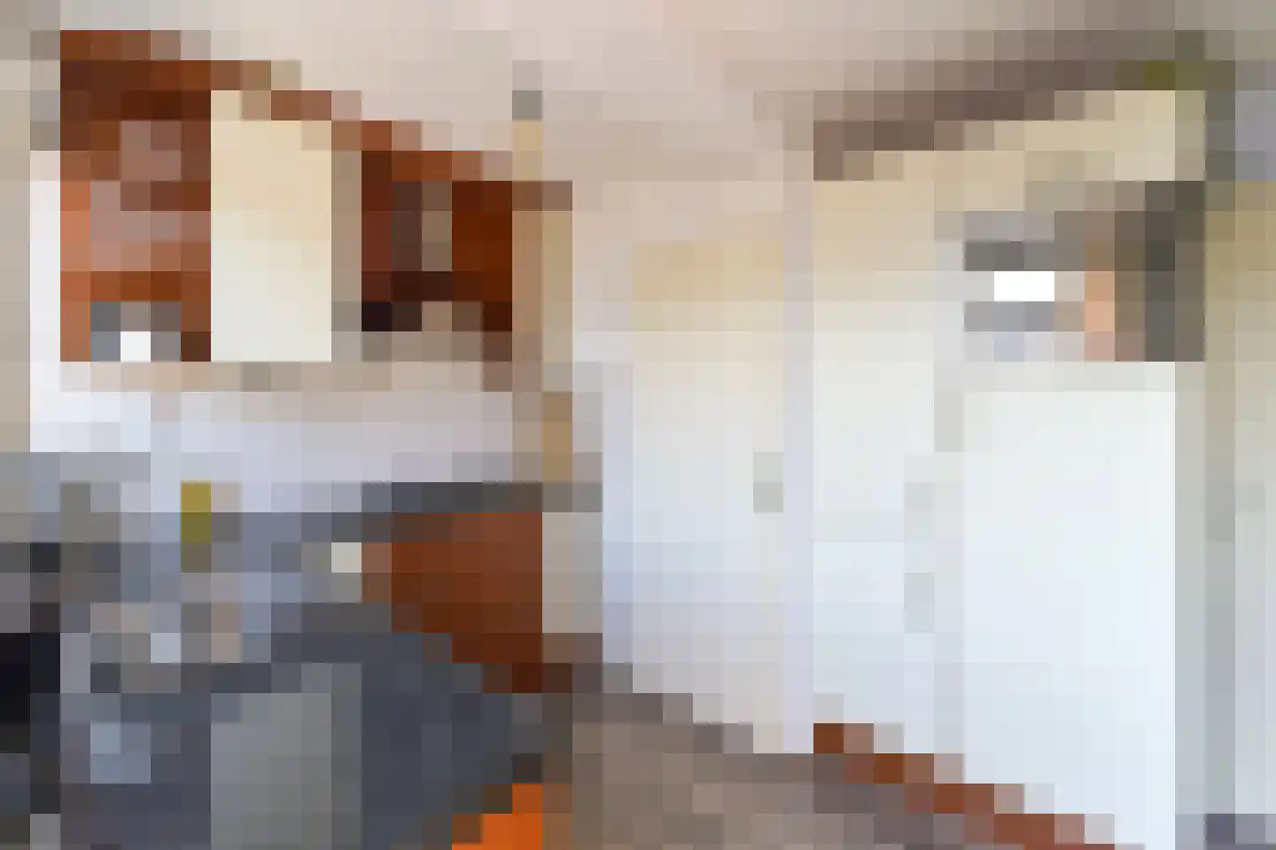 Parkstraat 49 Venlo thumbnail 6