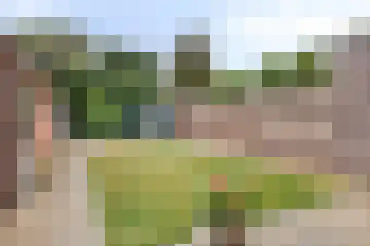 Parkstraat 5 Rijssen thumbnail 23