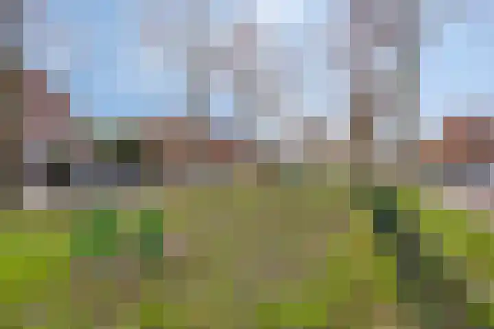 Parkstraat 51 Zaandijk thumbnail 30