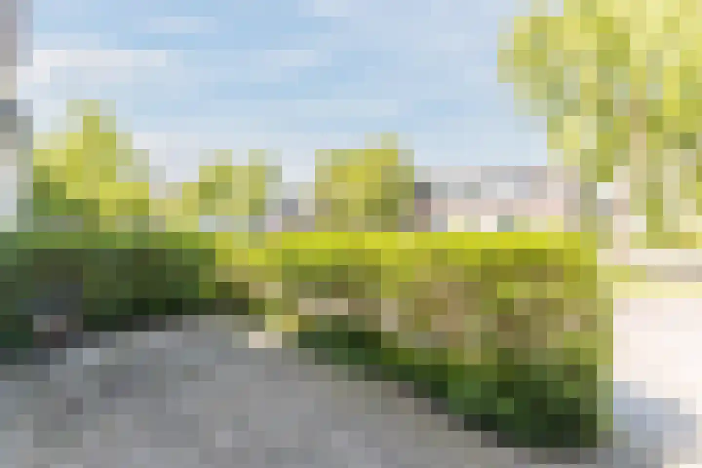 Parkstraat 57 Zaandam thumbnail 10