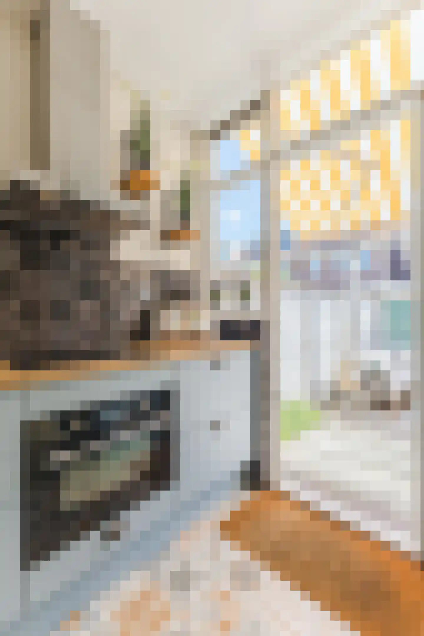 Parkstraat 57 Zaandam thumbnail 20