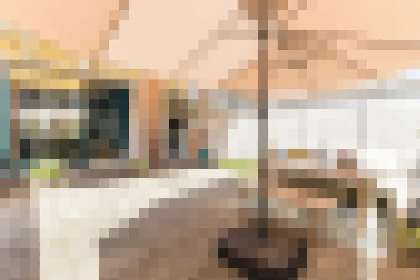 Parkstraat 57 Zaandam thumbnail 47