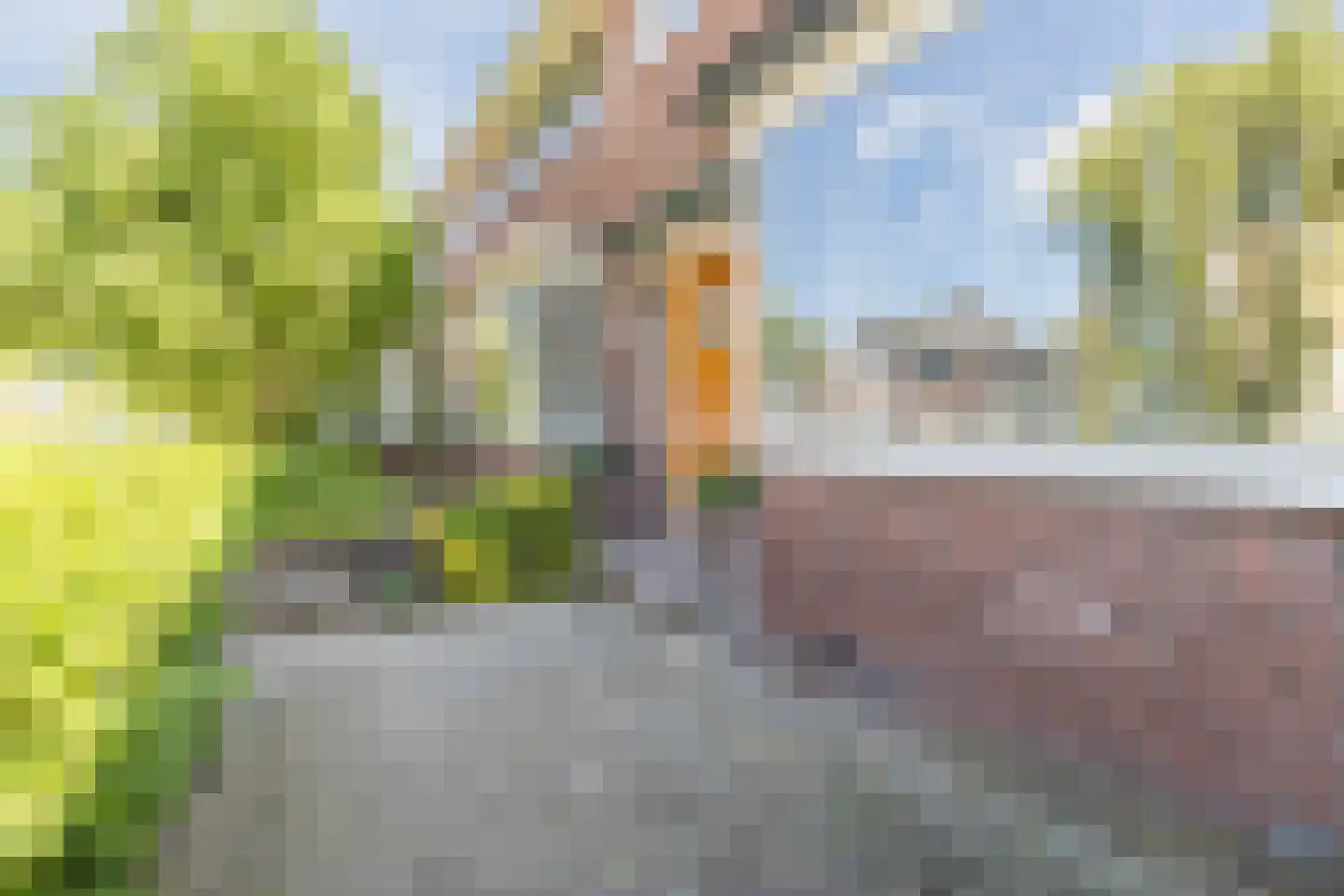 Parkstraat 57 Zaandam thumbnail 8