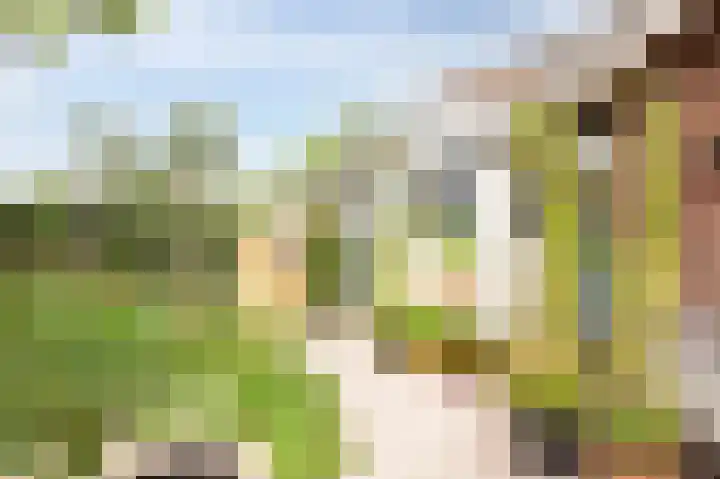 Parkstraat 6 Nieuwveen thumbnail 29