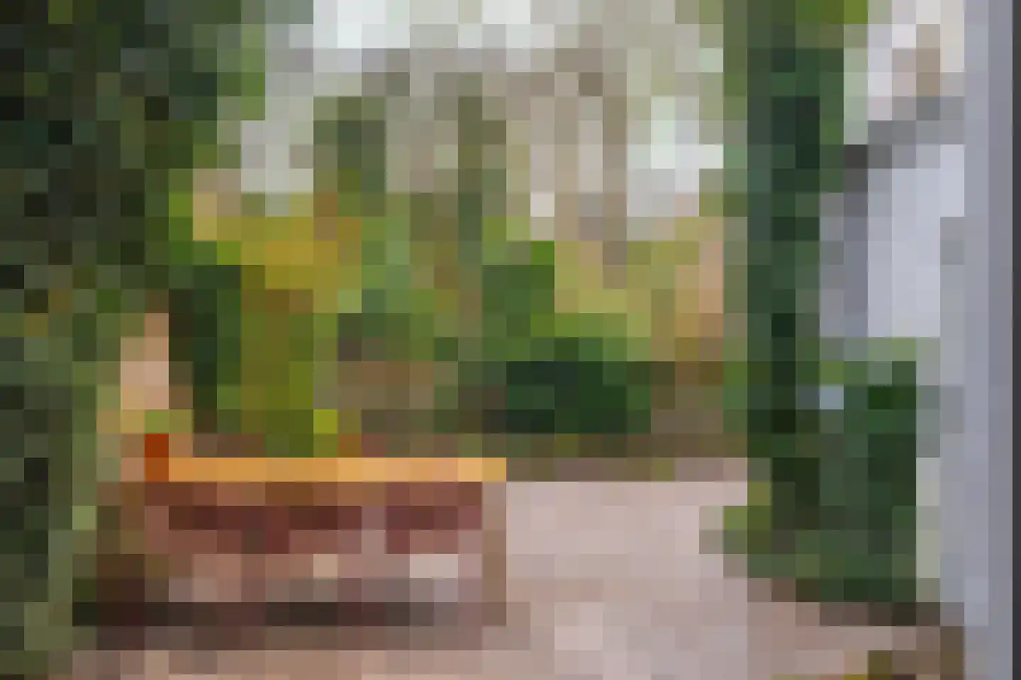 Parkstraat 76 Arnhem thumbnail 16