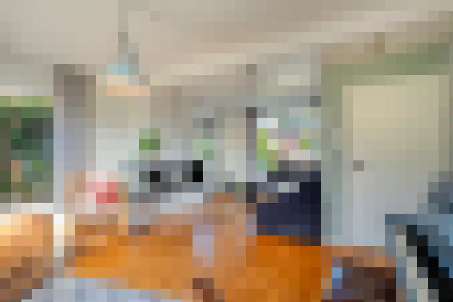 Parkstraat 8 Rijssen thumbnail 19