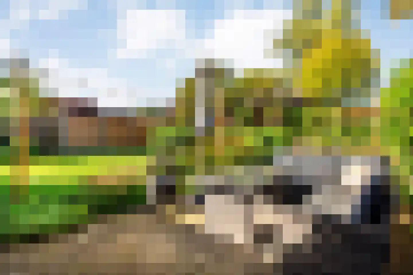 Parkstraat 8 Rijssen thumbnail 47