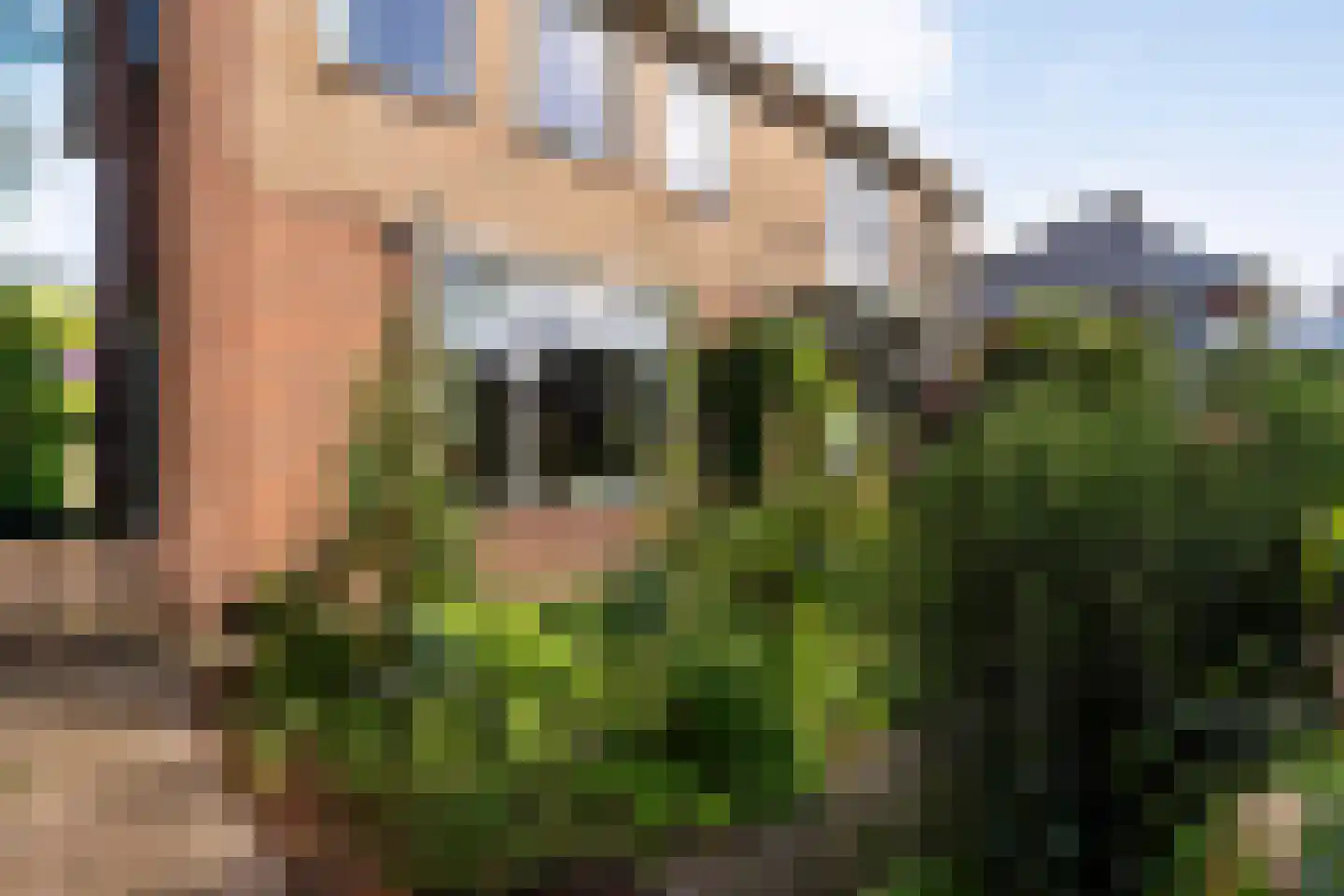 Parkstraat 8 Rijssen thumbnail 49