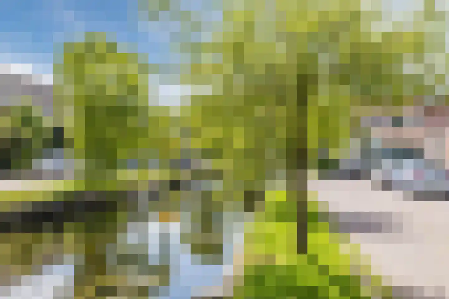Parkstraat 80 Zaandam thumbnail 52