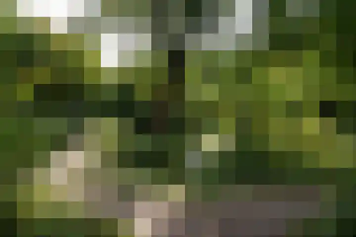 Parkstraat 83 Arnhem thumbnail 64