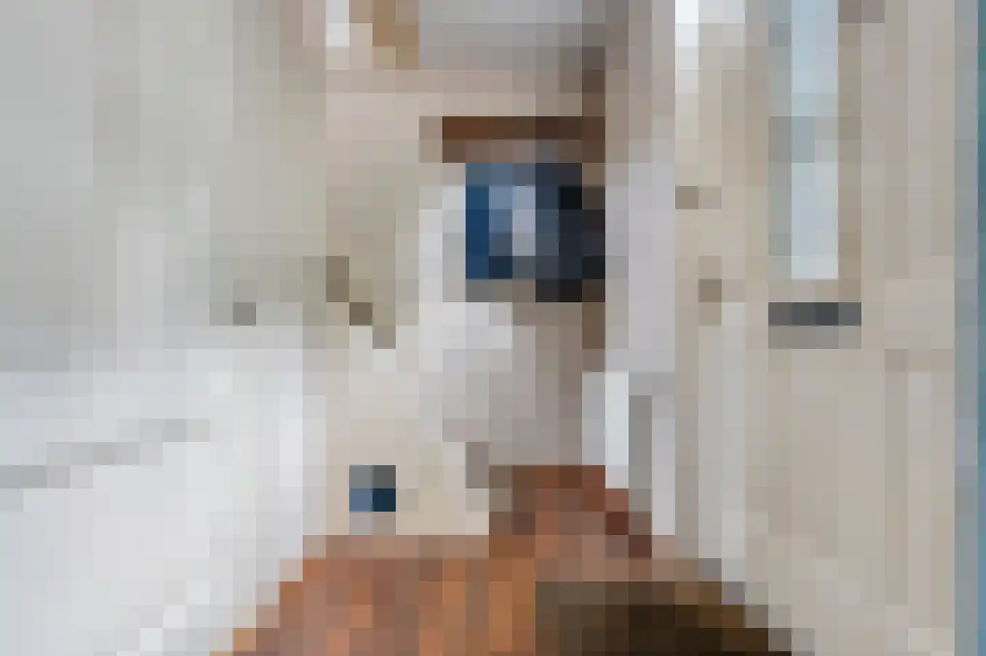 Parkstraat 9 Zaandijk thumbnail 18