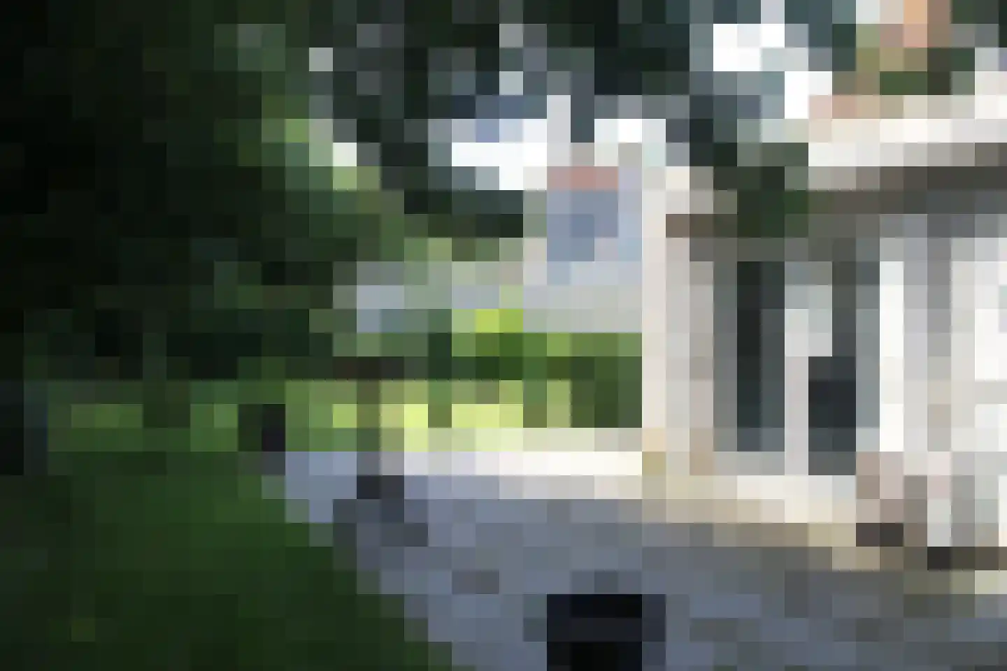 Parkweg 1 B196 Hellevoetsluis thumbnail 43