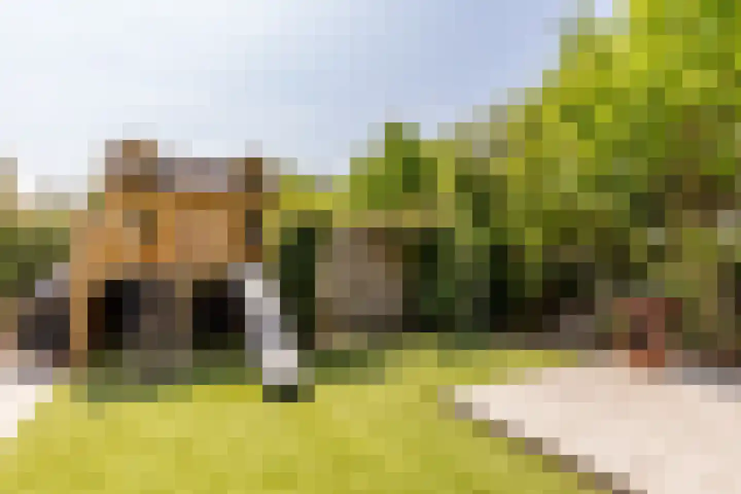 Parkweg 1 B256 Hellevoetsluis thumbnail 41