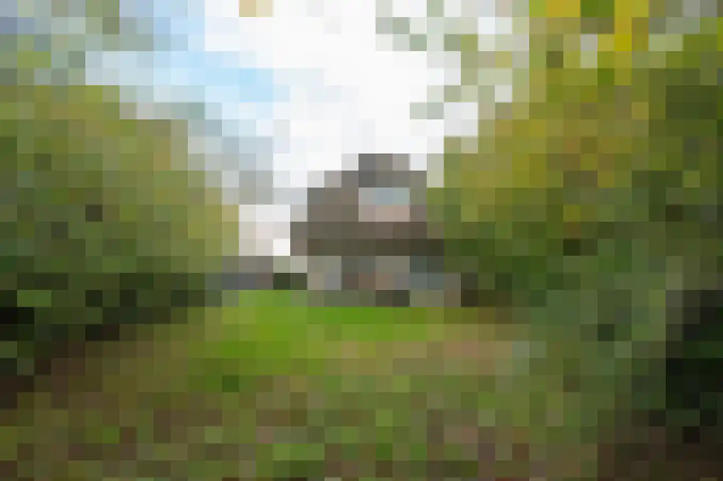 Parkweg 1 B317 Hellevoetsluis thumbnail 24