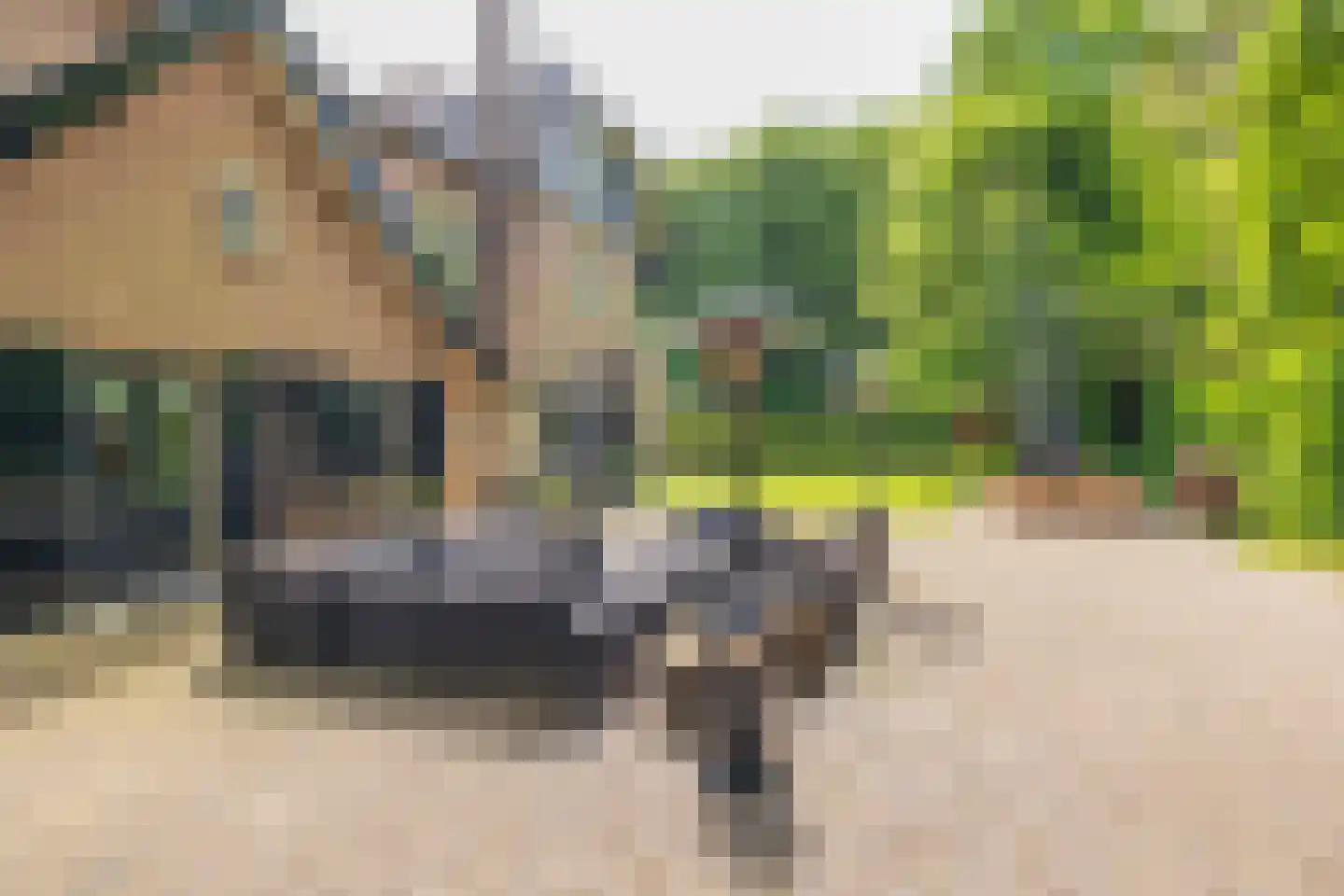 Parkweg 1 Bloemendaal thumbnail 23