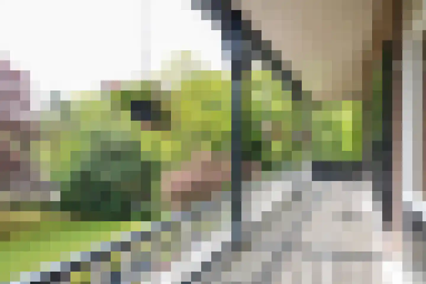 Parkweg 1 Bloemendaal thumbnail 31